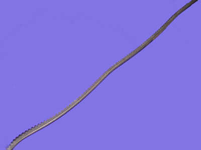 Zoom image