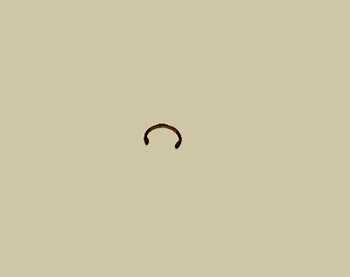 Zoom image