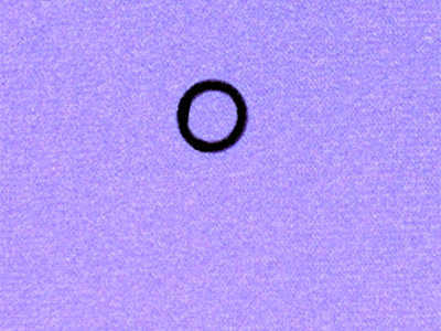 Zoom image