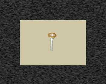 Zoom image