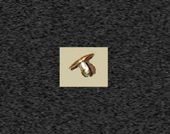 Zoom image