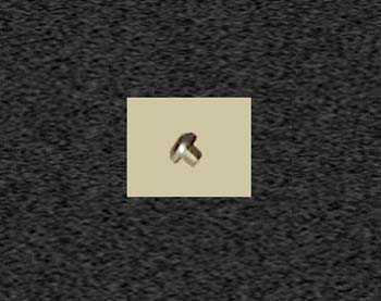 Zoom image