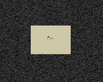 Zoom image