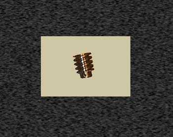 Zoom image