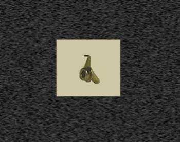 Zoom image