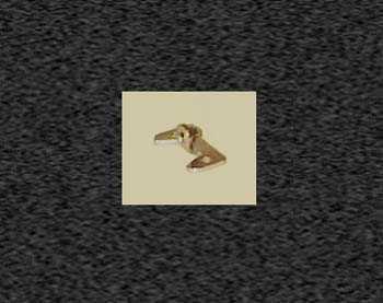 Zoom image