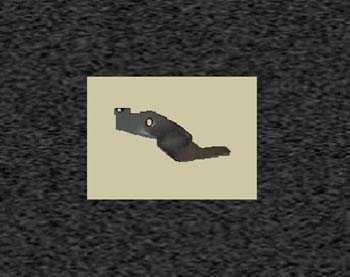 Zoom image