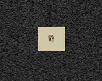Zoom image