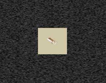 Zoom image