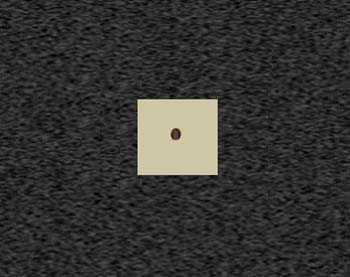 Zoom image
