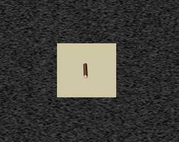 Zoom image
