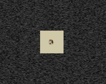 Zoom image
