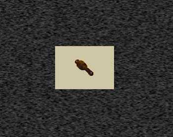 Zoom image