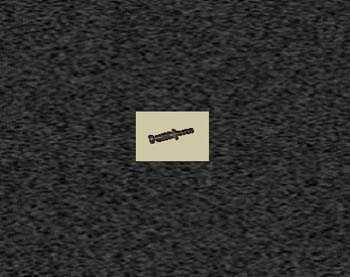 Zoom image