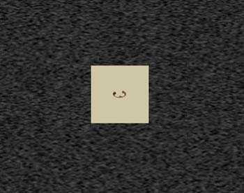 Zoom image
