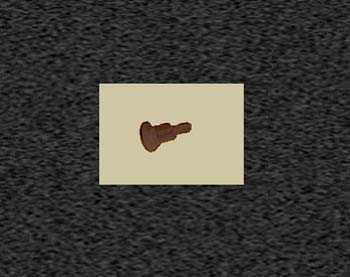 Zoom image