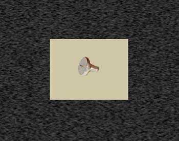 Zoom image