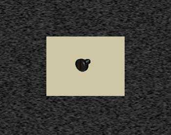 Zoom image